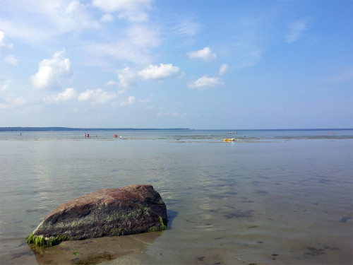 Ihasalu